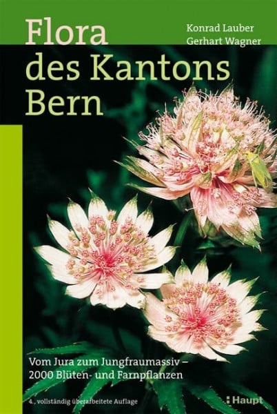 Gygax, Andreas Flora des Kantons Bern: Vom Jura zum Jungfraumassiv - 2000 Blüten- und Farnpflanzen