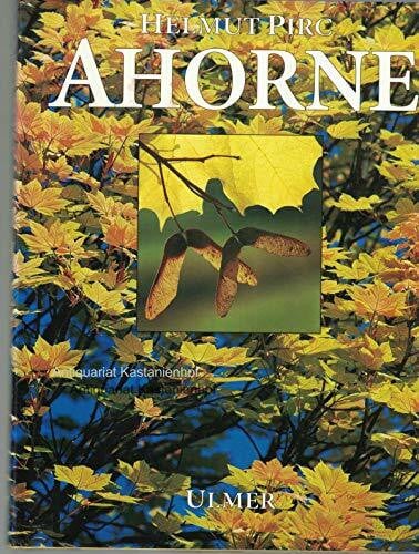 Pirc, Helmut Ahorne