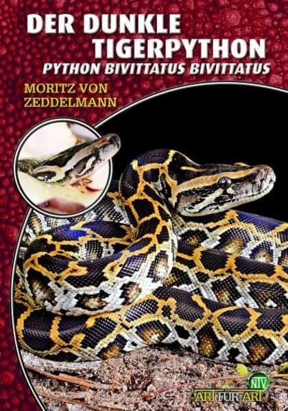 von Zeddelmann, Moritz Der Dunkle Tigerpython: Python bivittatus bivittatus (Buchreihe Art für Art Terraristik)