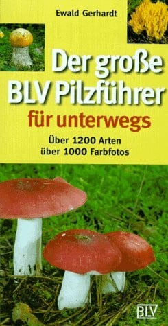 Ewald Gerhardt Der große BLV Pilzführer für unterwegs