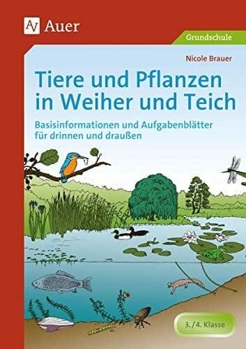 Brauer, Nicole Tiere und Pflanzen in Weiher und Teich: Basisinformationen und Aufgabenblätter für drinnen und draußen (3. und 4. Klasse): Basisinformationen und ... für drinnen und draußen - 3. / 4. Klasse