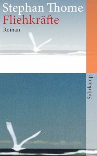 Thome, Stephan Fliehkräfte: Roman (suhrkamp taschenbuch)