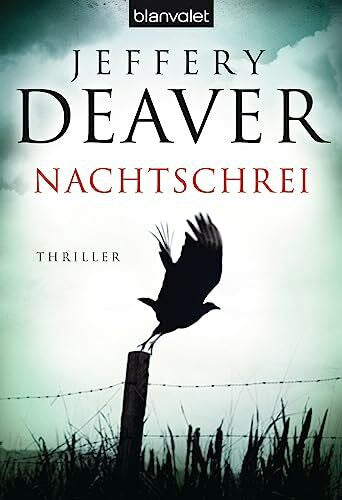 Haufschild, Thomas Nachtschrei: Thriller