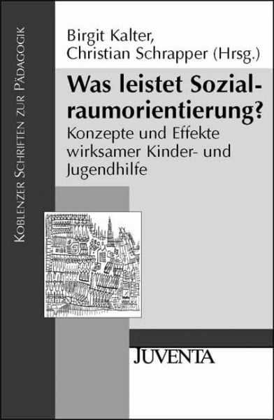 Kalter, Birgit Was leistet Sozialraumorientierung?: Konzepte und Effekte wirksamer Kinder- und Jugendhilfe (Koblenzer Schriften zur Pädagogik)