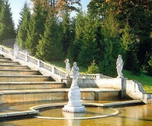 Various authors Peterhof. Pavlovsk. Carskoje Selo. Gatcina. Oranienbaum