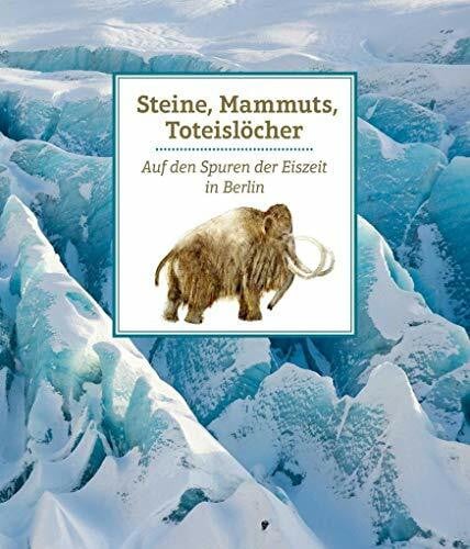 Witzel, Beate Steine, Mammuts, Toteislöcher: Auf den Spuren der Eiszeit in Berlin (Edition Stadtmuseum: KLEINE REIHE)