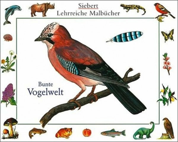 Etschmann, Walter Bunte Vogelwelt: Malbuch. Verpackungseinheit (Siebert lehrreiche Malbücher)