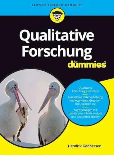 Godbersen, Hendrik Qualitative Forschung für Dummies