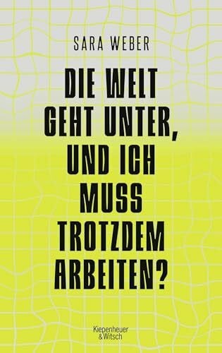 Weber, Sara Die Welt geht unter, und ich muss trotzdem arbeiten?