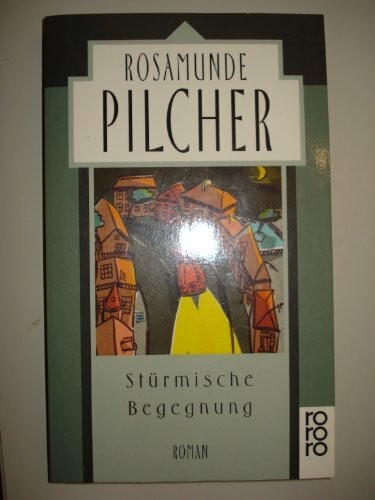 Abel, Jürgen Stürmische Begegnung: Roman