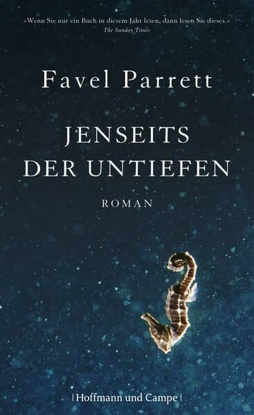 Rávic Strubel, Antje Jenseits der Untiefen: Roman