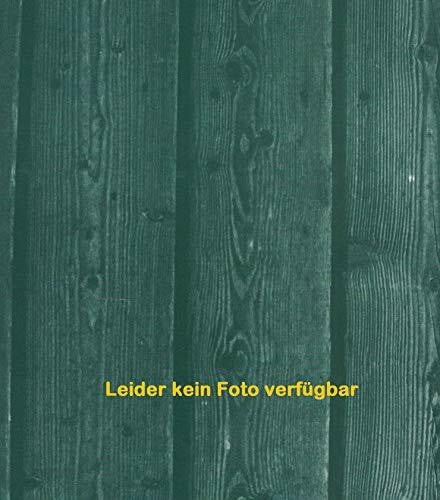 (Ohne Autor) Finanzmanagement: Beiträge zu Theorie und Praxis (Band II)