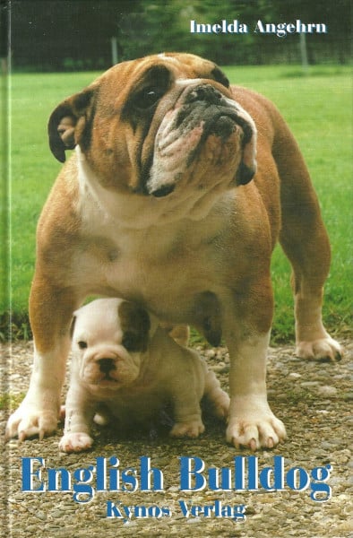 Angehrn, Imelda English Bulldog (Das Hundeportrait)