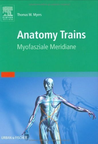 Wiebke Kathmann Anatomy Trains: Myofasziale Leitbahnen