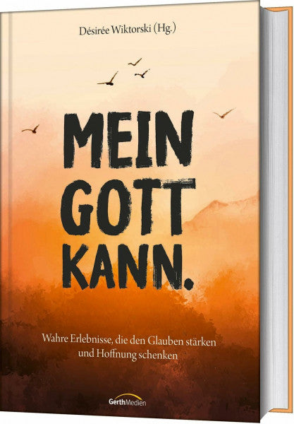 Wiktorski, Désirée Mein Gott kann.: Wahre Erlebnisse, die den Glauben stärken und Hoffnung schenken