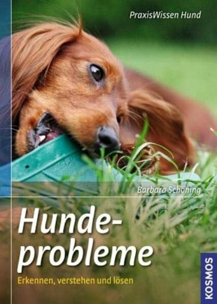 Schöning, Barbara Hundeprobleme: Erkennen, verstehen und lösen