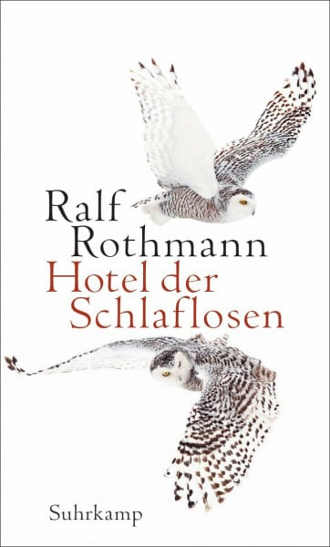 Rothmann, Ralf Hotel der Schlaflosen: Erzählungen