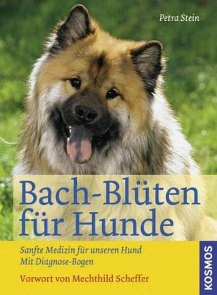 Stein, Petra Bach-Blüten für Hunde: Sanfte Medizin für unseren Hund Mit Diagonose-Bogen