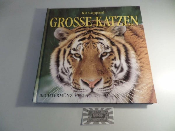 Coppard, Kit Große Katzen