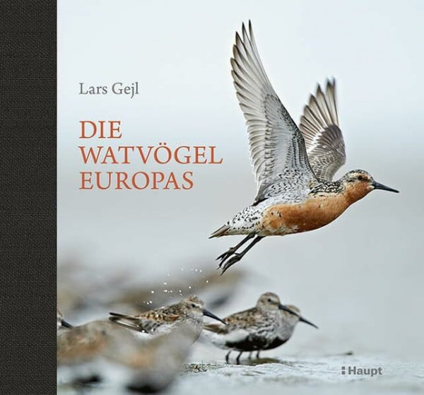 Wiese, Martina Die Watvögel Europas