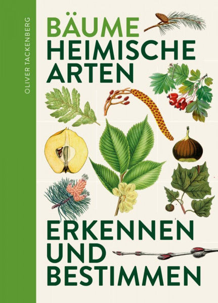 Tackenberg, Dr. Oliver Bäume: Heimische Baumarten erkennen & bestimmen