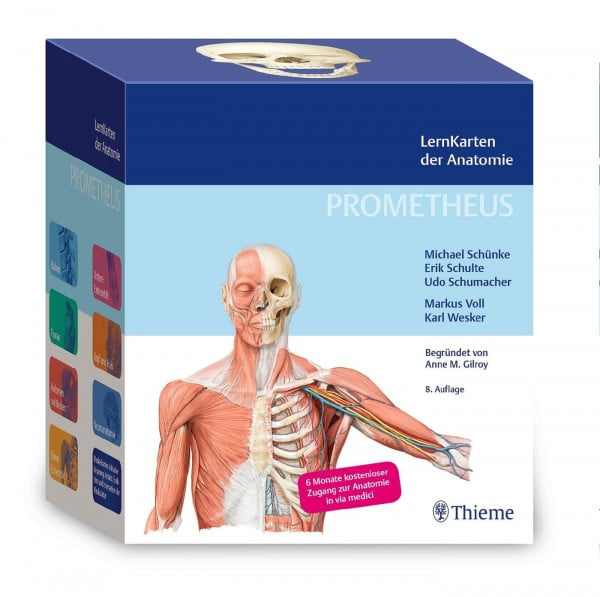 Schünke, Michael PROMETHEUS LernKarten der Anatomie