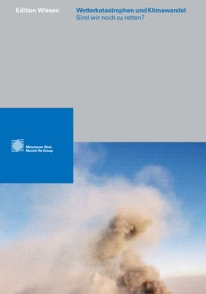 Münchener Rückversicherungs-Gesellschaft Wetterkatastrophen und Klimawandel: Sind wir noch zu retten?