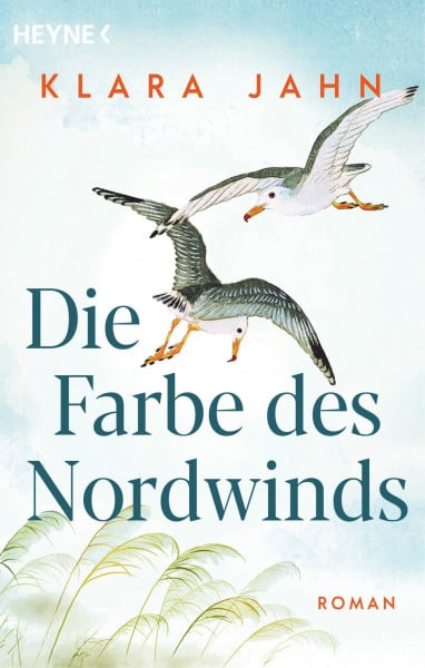 Jahn, Klara Die Farbe des Nordwinds: Roman