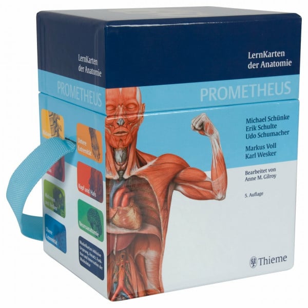 Schünke, Michael PROMETHEUS LernKarten der Anatomie