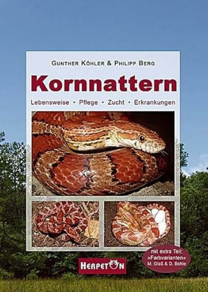 Gunther Köhler Kornnattern: Lebensweise, Pflege, Zucht, Erkrankungen