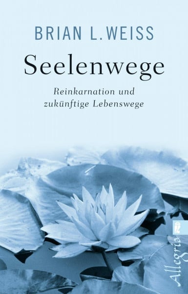 Weiss Seelenwege: Reinkarnation und zukünftige Lebenswege