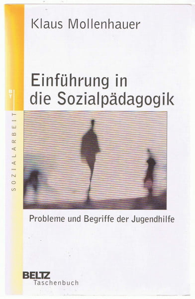Müller, C. Wolfgang Einführung in die Sozialpädagogik: Probleme und Begriffe der Jugendhilfe (Beltz Taschenbuch / Soziale Arbeit)