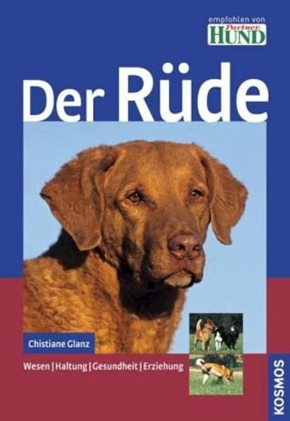 Glanz, Christiane Der Rüde: Wesen, Haltung, Gesundheit, Erziehung