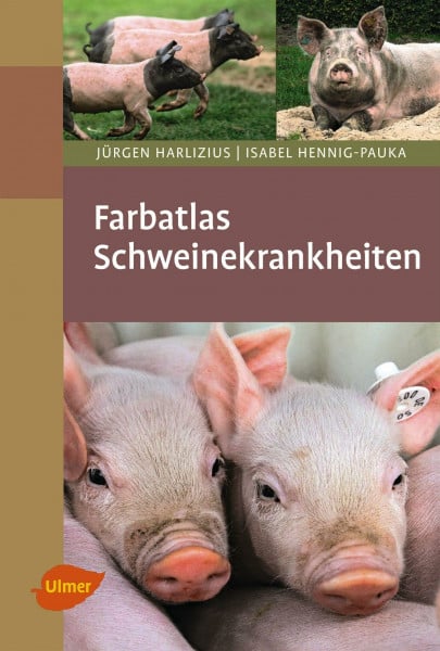 Hennig-Pauka, Isabel Schweinekrankheiten