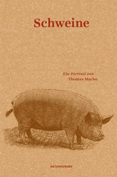 Thomas Macho Schweine: Ein Portrait (Naturkunden)