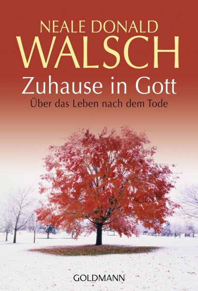 Walsch, Neale Donald Zuhause in Gott: Über das Leben nach dem Tode