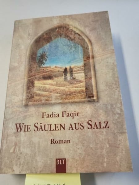 Faqir, Fadia Wie Säulen aus Salz (BLT. Bastei Lübbe Taschenbücher)