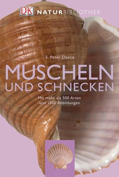 Dance, S Peter Muscheln und Schnecken: Mit mehr als 500 Arten