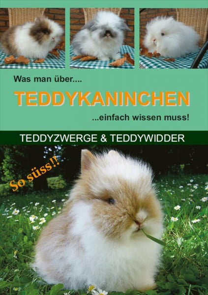 Teddykaninchenclub Was man über Teddykaninchen einfach wissen muss!: Teddyzwerge & Teddywidder