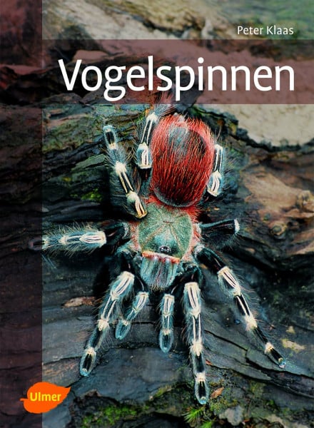 Klaas, Peter Vogelspinnen