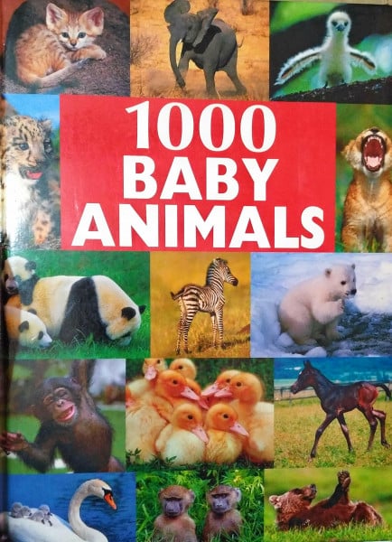 Schöber, Ulrike 1000 Tierbabys
