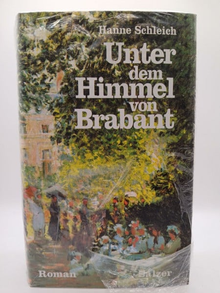 Schleich, Hanne Unter dem Himmel von Brabant. Roman