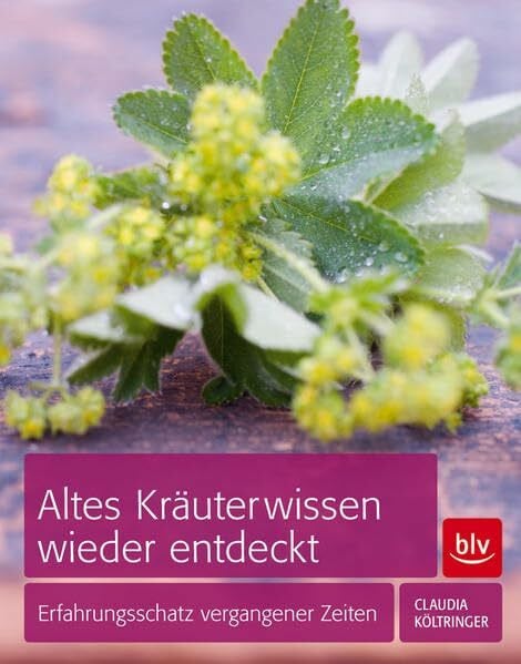 Költringer, Claudia Altes Kräuterwissen wieder entdeckt: Erfahrungsschatz vergangener Zeiten