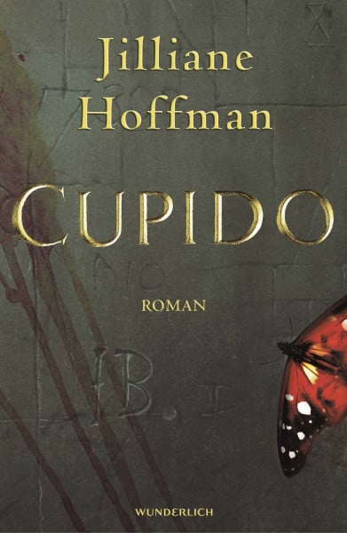Hoffman, Jilliane Cupido: Thriller (Die C.-J.-Townsend-Reihe, Band 1)