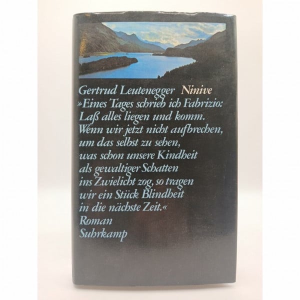Leutenegger, Gertrud Ninive: Roman
