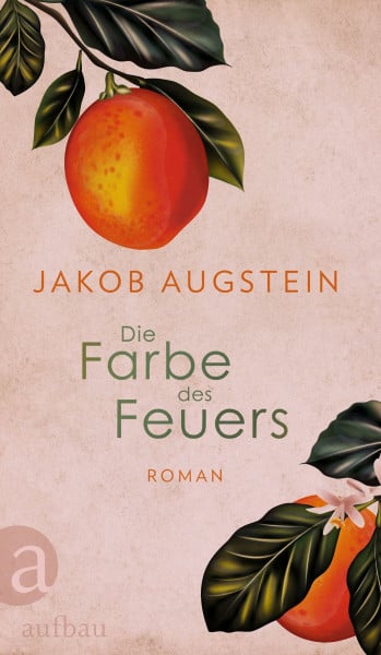 Augstein, Jakob Die Farbe des Feuers: Roman