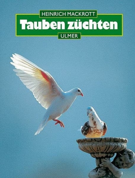 Mackrott, Heinrich Tauben züchten (Halten-Reihe)