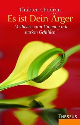 Schweiberer, Birgit Es ist Dein Ärger: Methoden zum Umgang mit starken Gefühlen
