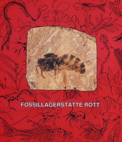 Koenigswald, Wighart von Fossillagerstätte Rott bei Hennef im Siebengebirge: Das Leben an einem subtropischen See vor 25 Millionen Jahren