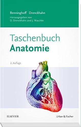 Drenckhahn, Detlev Benninghoff Taschenbuch Anatomie
